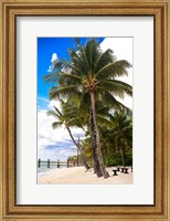 This Is Paradise Fine Art Print
