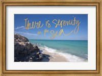 Serenity In The Sea Fine Art Print
