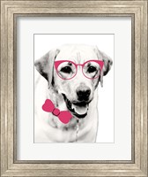Pink Pop on Pup Fine Art Print
