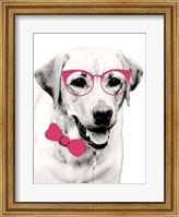 Pink Pop on Pup Fine Art Print
