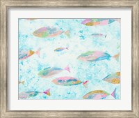 Aqua Blue Fishy Fine Art Print