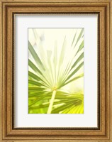Among Palms I Fine Art Print