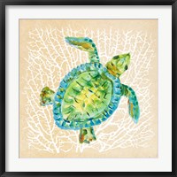 Sealife Turtle Fine Art Print