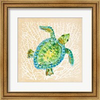 Sealife Turtle Fine Art Print