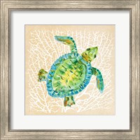 Sealife Turtle Fine Art Print