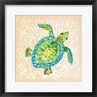 Sealife Turtle Framed Print