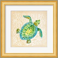 Sealife Turtle Fine Art Print