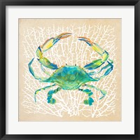 Sealife Crab Fine Art Print