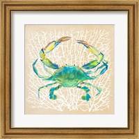 Sealife Crab Fine Art Print