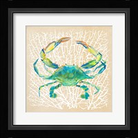 Sealife Crab Framed Print