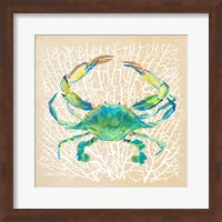 Sealife Crab Fine Art Print