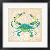 Sealife Crab Framed Print