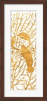 Sealife on Gold II Fine Art Print