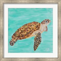 Sea Turtle I Fine Art Print