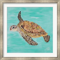 Sea Turtle II Fine Art Print