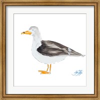 Seagull on White Fine Art Print