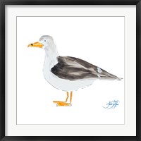 Seagull on White Fine Art Print