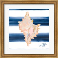 Nautical Shell II Fine Art Print