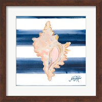 Nautical Shell II Fine Art Print