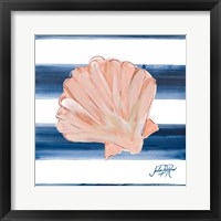 Nautical Shell III Framed Print