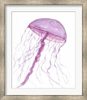 Jellyfish II Fine Art Print