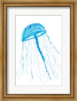 Jellyfish I Fine Art Print