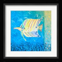 Under the Sea IV Framed Print