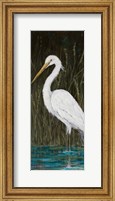 White Egret Fine Art Print