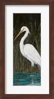 White Egret Fine Art Print