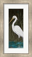 White Egret Fine Art Print