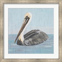 Pelican Wash I Fine Art Print