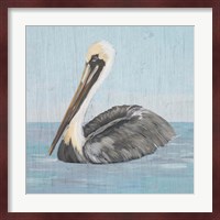 Pelican Wash I Fine Art Print