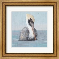 Pelican Wash II Fine Art Print