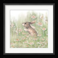 Meadow Visitor II Fine Art Print