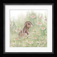 Meadow Visitor III Fine Art Print