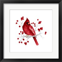 Winter Cardinal in Red I Framed Print