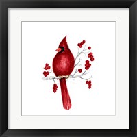 Winter Cardinal in Red II Framed Print
