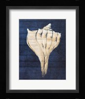 Beach Finds Navy II Fine Art Print