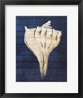 Beach Finds Navy II Fine Art Print