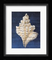 Beach Finds Navy I Fine Art Print