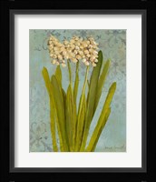 Hyacinth on Teal II Fine Art Print