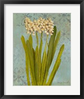 Hyacinth on Teal II Framed Print