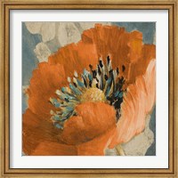 Orange Poppy Fine Art Print