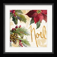 Christmas Poinsettia III Framed Print