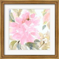 Early Pink Blooms II Fine Art Print