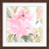 Early Pink Blooms II Fine Art Print