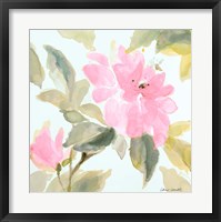 Early Pink Blooms I Fine Art Print