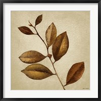 Antiqued Leaves II Fine Art Print