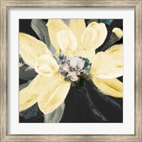 Yellow Blooms on Black II Fine Art Print