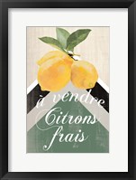 Citron Frais Fine Art Print